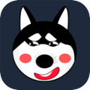 小哈永久免费梯子
